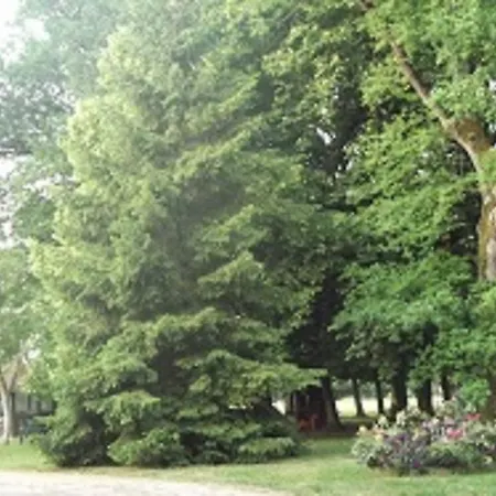 Domaine Des Parisses - Chambres D'hotes Gennetines